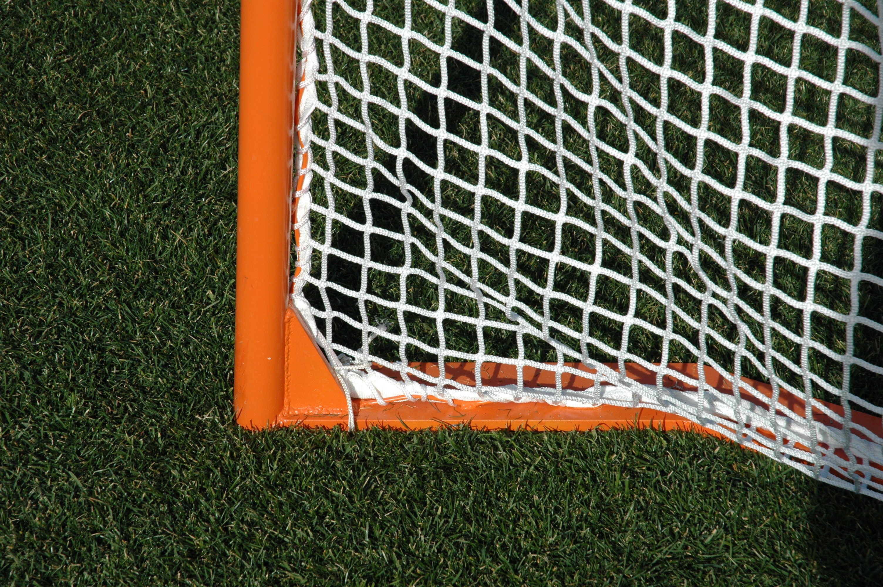 6' x 6' field Lacrosse goal, Professional Grade 2" steel Arizona