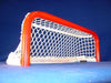 All Star Pond Hockey net